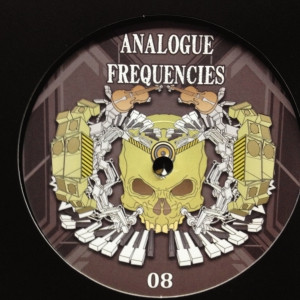 Analogue Frequencies 08 RP - vinyle freetekno