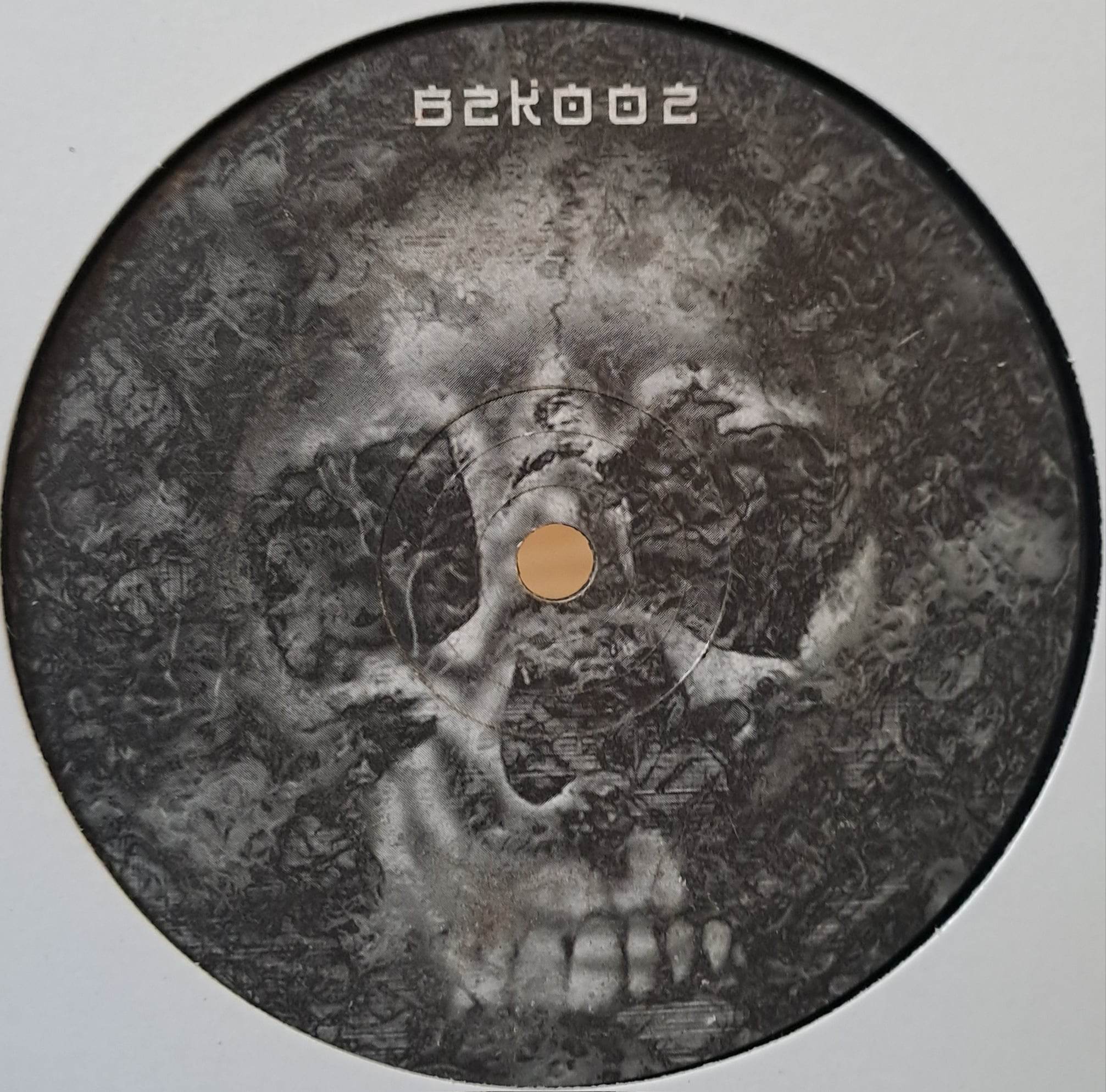 Born To Kick 02 - vinyle hardcore