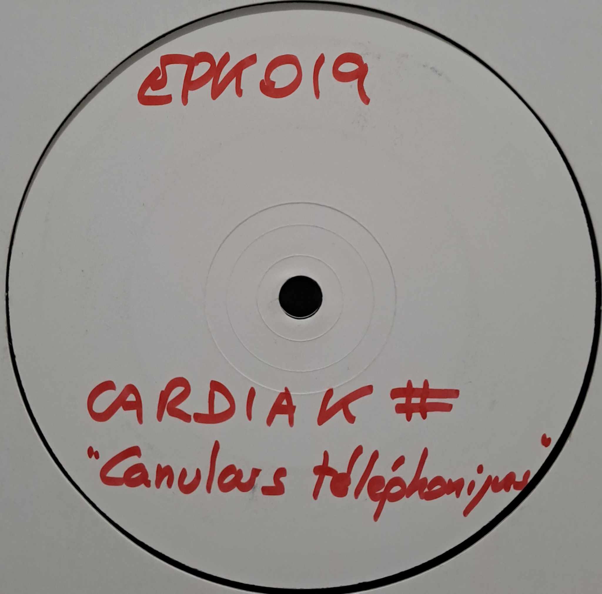 Epileptik 019 (White Label) - vinyle hardcore