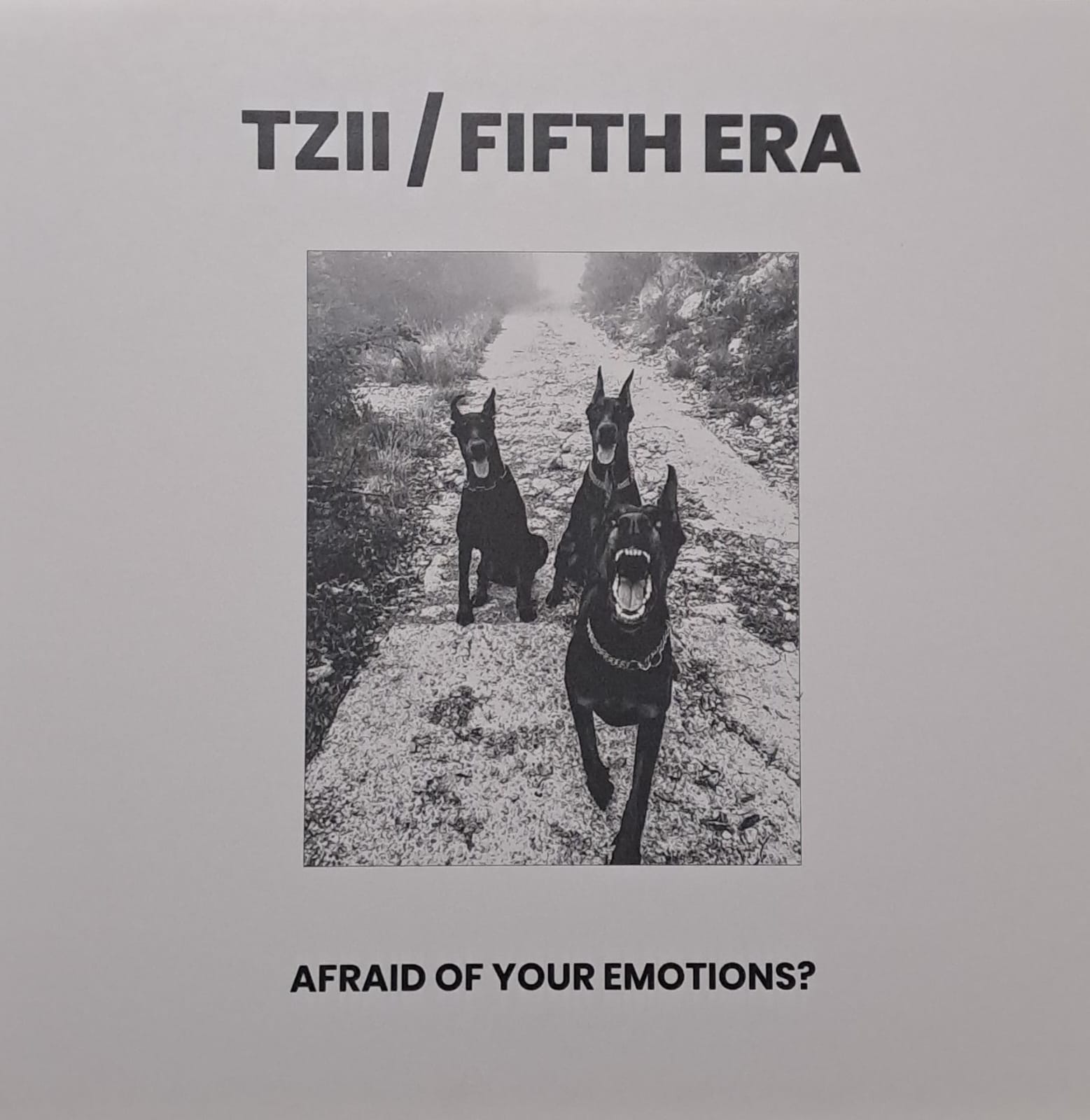 FNK BLK TZIIFTH - vinyle doomcore