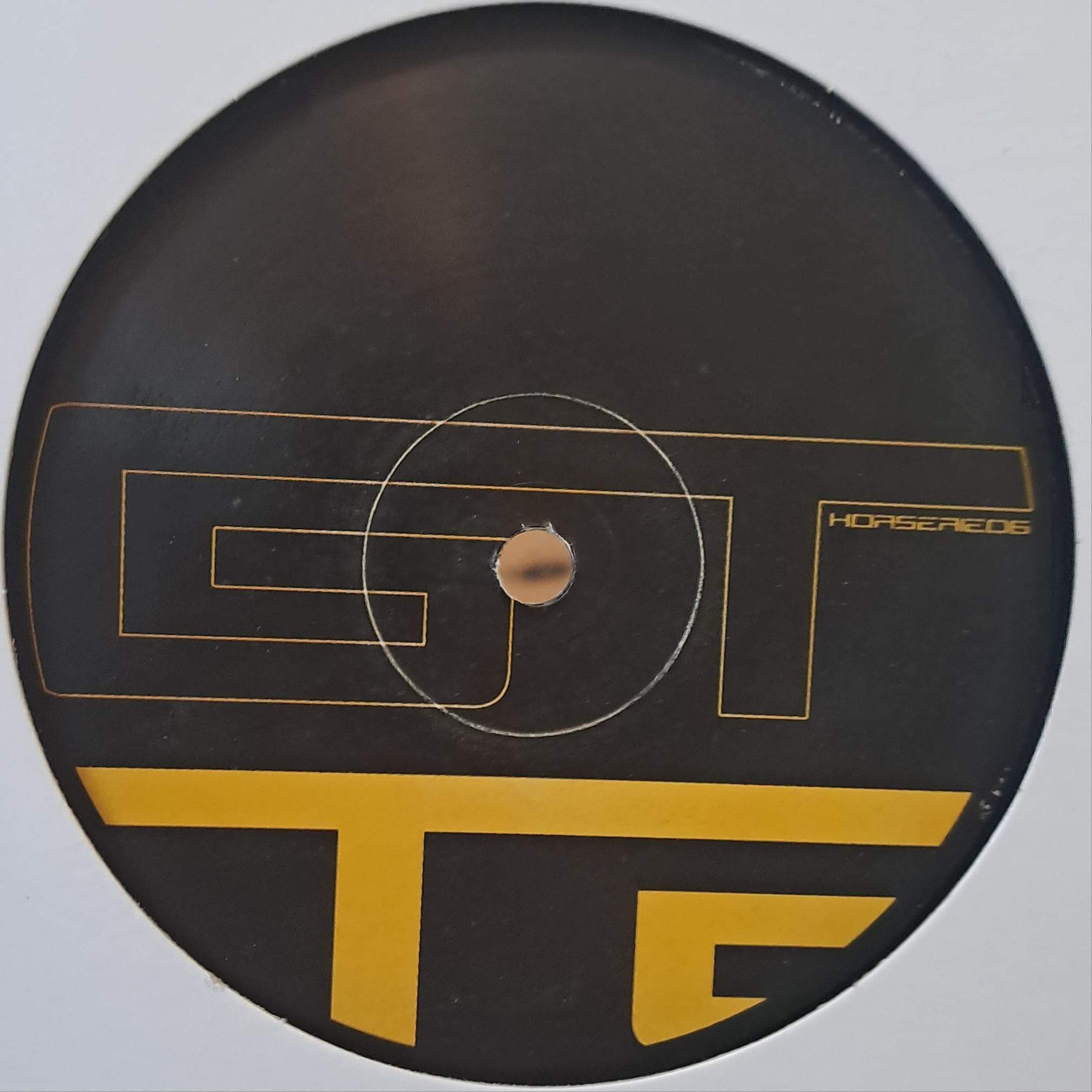 Gelstat Horserie 06 - vinyle techno
