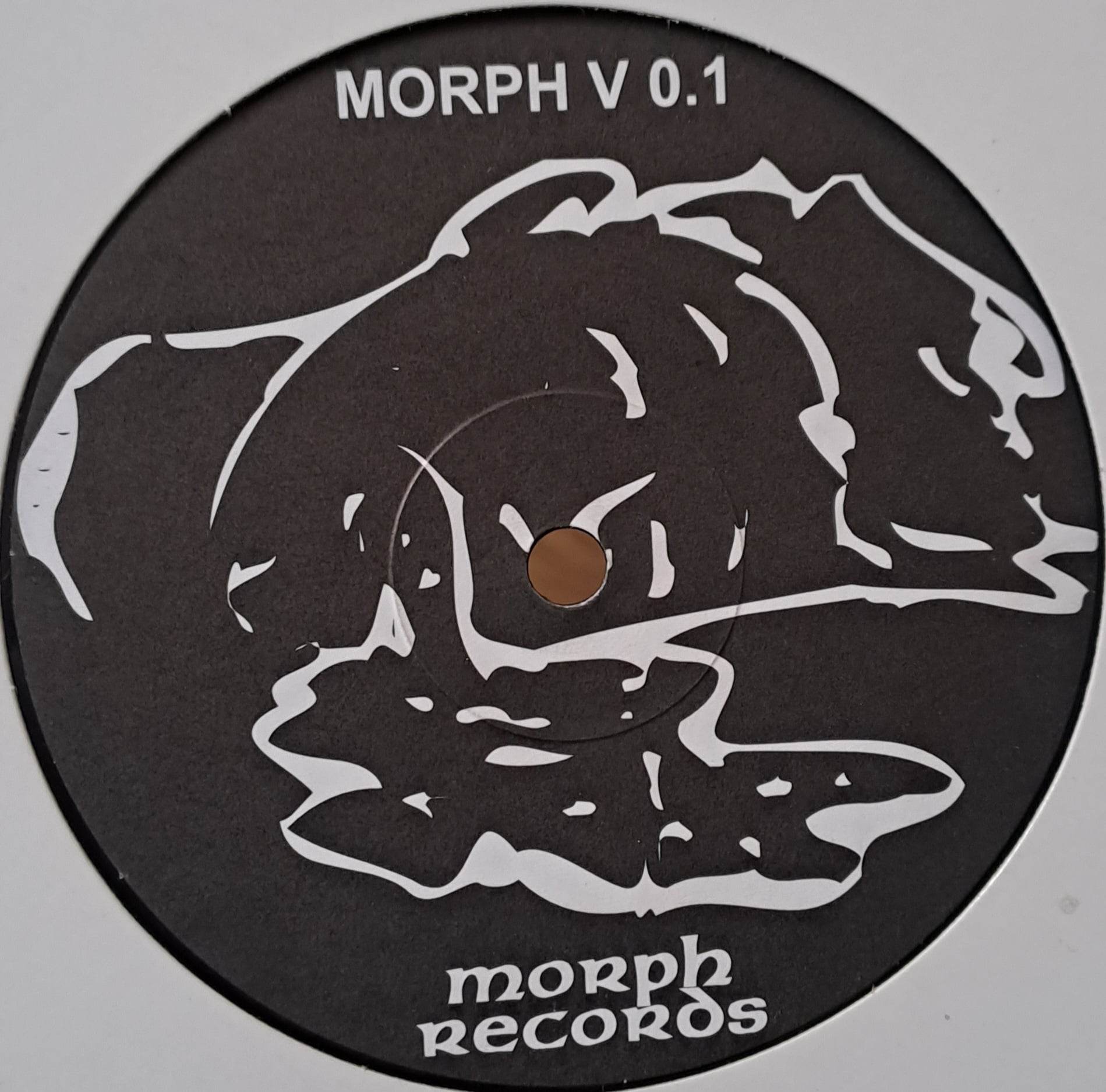 Morph V 0.1 - vinyle hardcore