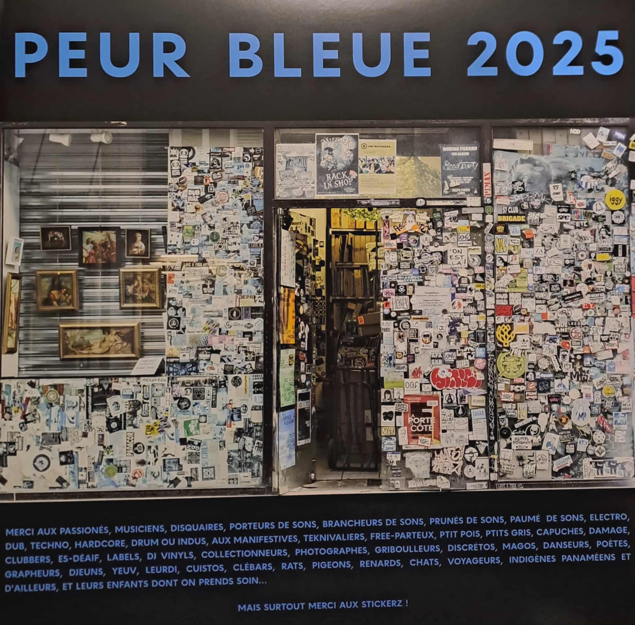 Peur Bleue LP 2025 (double album) - vinyle acid