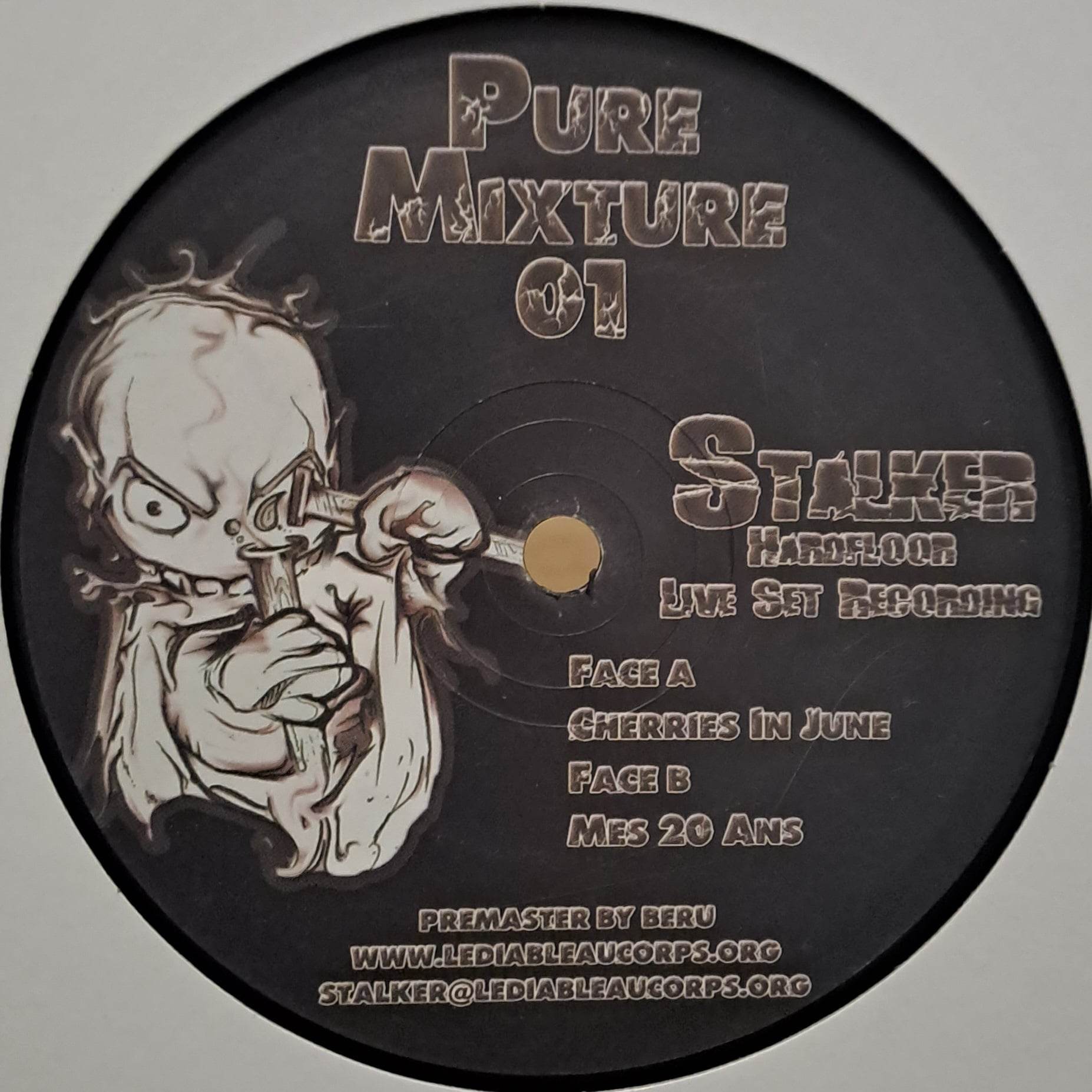Pure Mixture 01 - vinyle hardcore