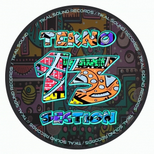 Tekno Section 13 - vinyle freetekno