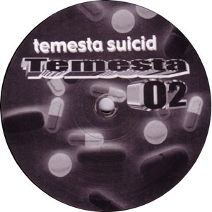 Temesta 02 - vinyle break